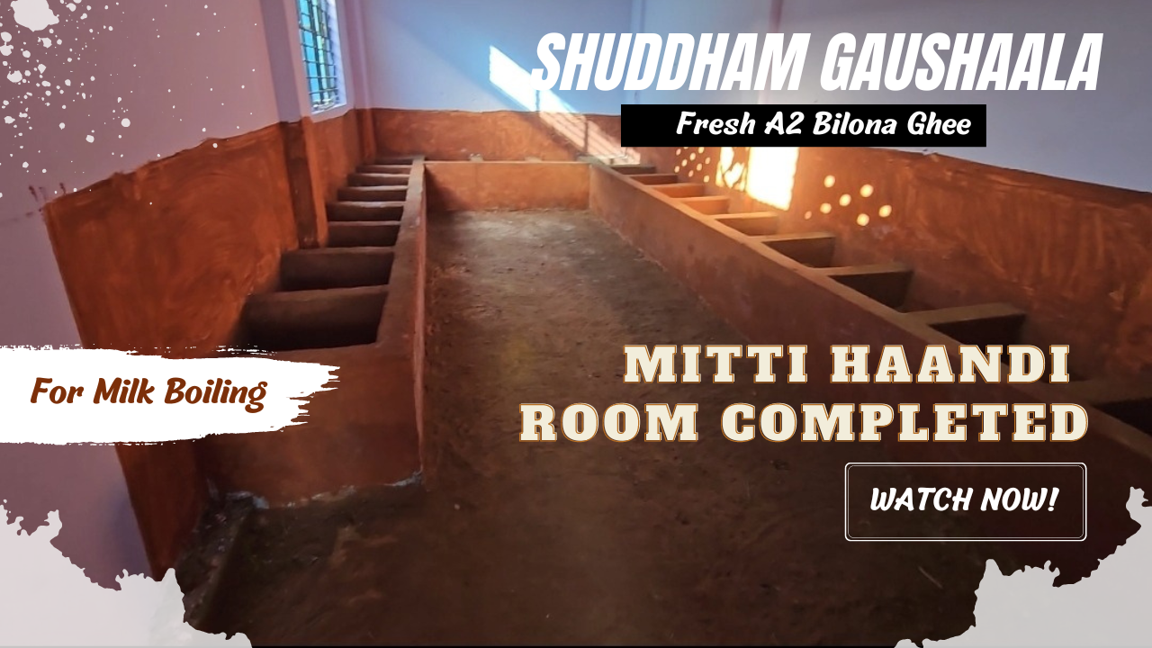 New Bilona Room Completion