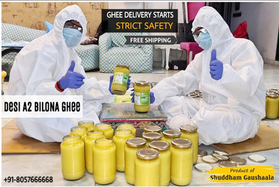 A2 Ghee Packing with Safety (Video)