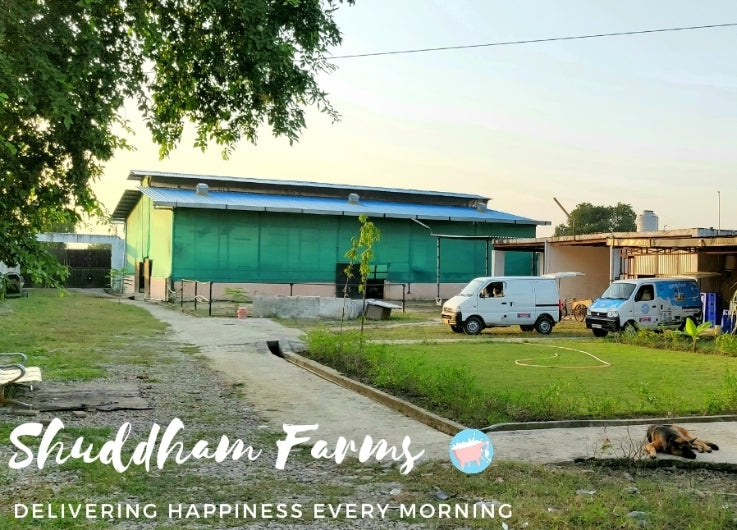 Regarding Update on our Farm & Cows