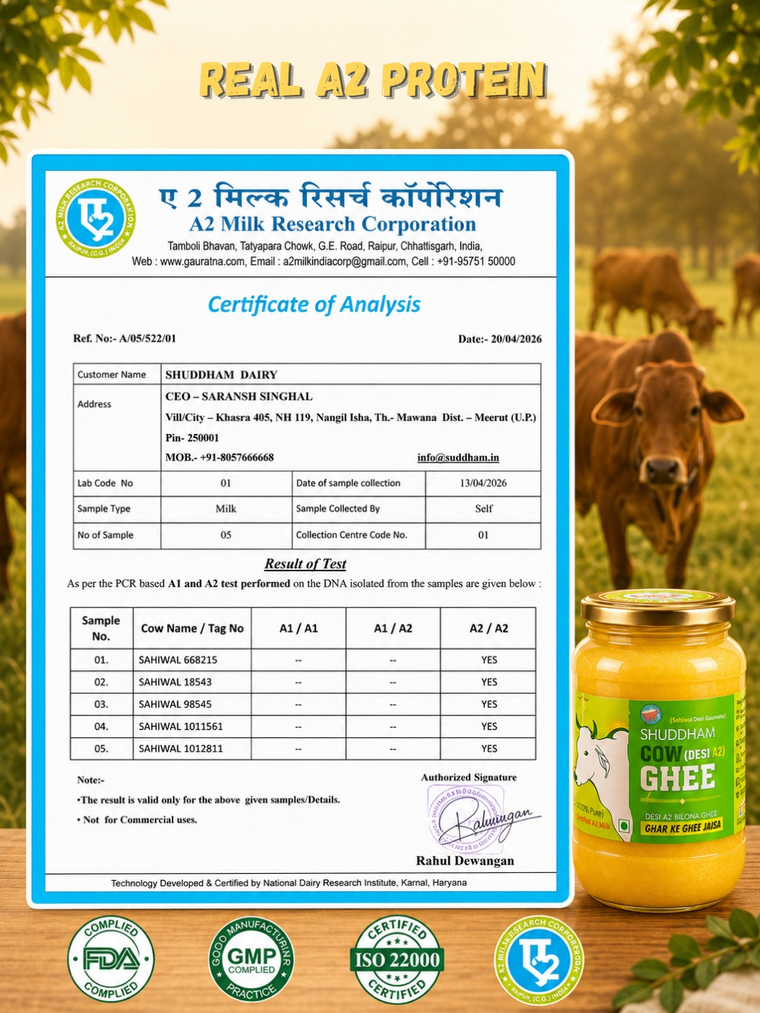 3 Ltrs Shuddham Organics Pure A2 Ghee