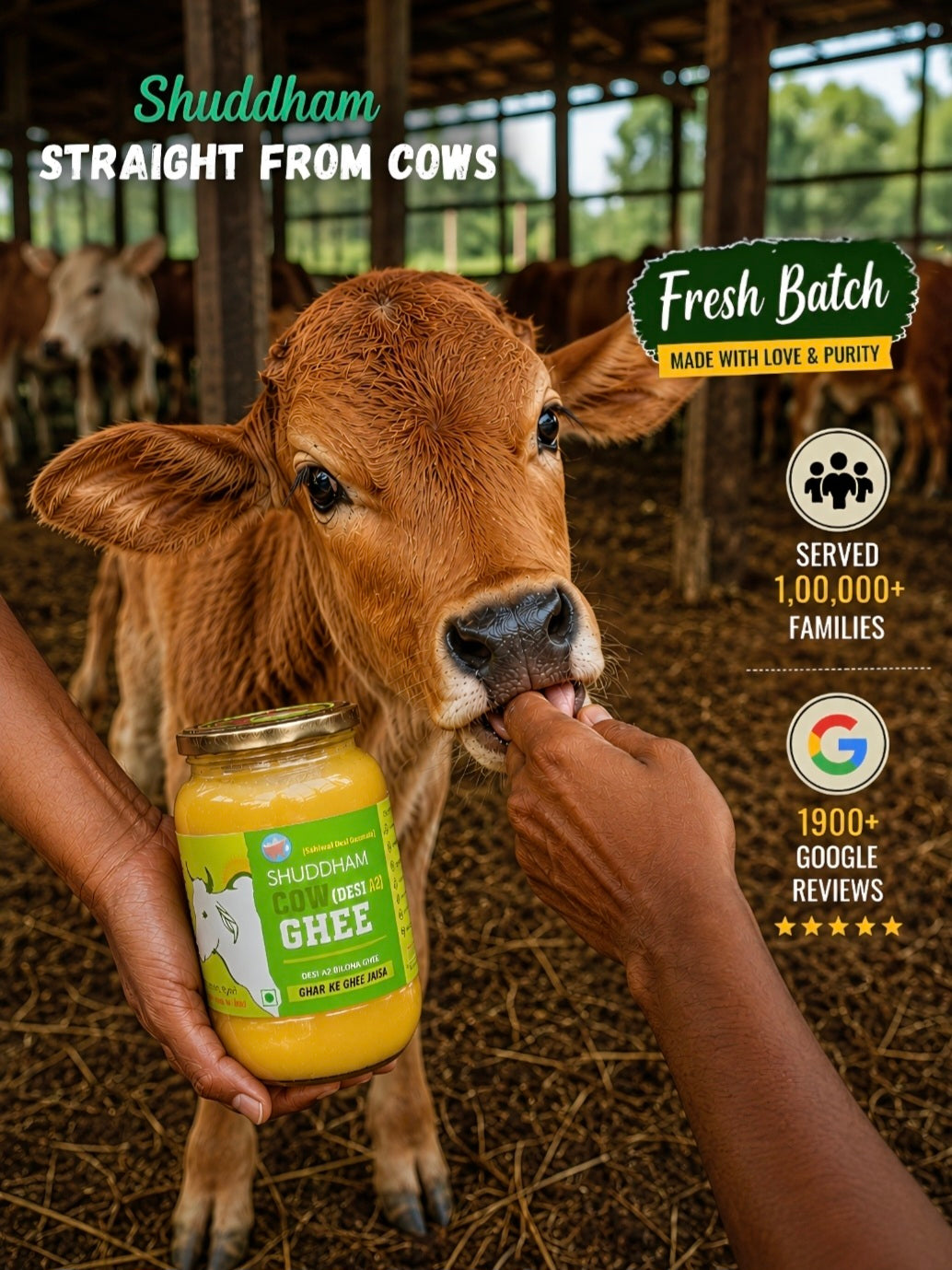 3 Ltrs Shuddham Organics Pure A2 Ghee