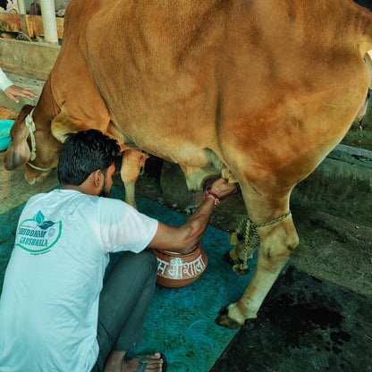 3 Ltrs Shuddham Organics Pure A2 Ghee