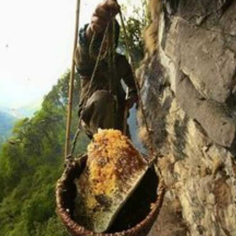 Shuddham Honey wild Forest (500 Gms)