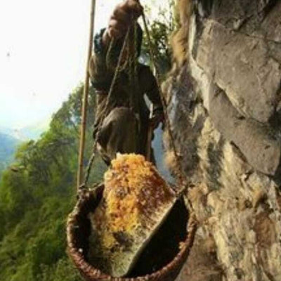 Shuddham Honey wild Forest (500 Gms)